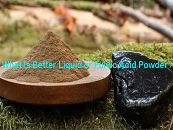 What Is Better Liquid or Fulvic Acid Powder？